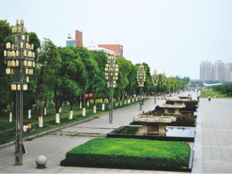 黎川县第三小学绿化工程