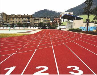 株洲市人事资源和社会保障局硅PU运动场建设工程