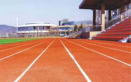 德胜中学运动场塑胶面层工程